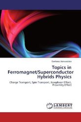 Topics in Ferromagnet/Superconductor Hybrids Physics