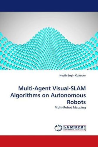 Multi-Agent Visual-SLAM Algorithms on Autonomous Robots
