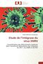 Etude de l intégrase du virus XMRV
