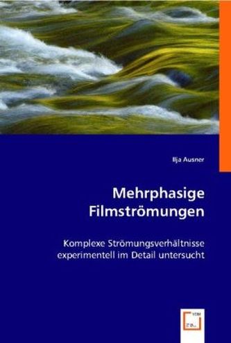 Mehrphasige Filmströmungen