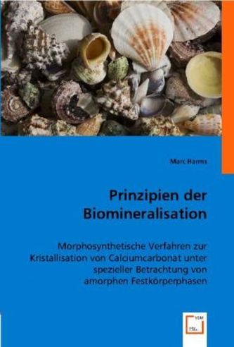 Prinzipien der Biomineralisation