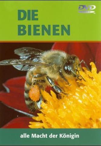 Die Bienen, 1 DVD