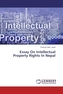Essay On Intellectual Property Rights In Nepal