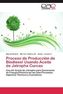 Proceso de Producción de Biodiesel Usando Aceite de Jatropha Curcas