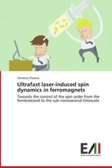 Ultrafast laser-induced spin dynamics in ferromagnets