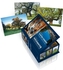Baumriesen der Schweiz - Postkartenbox