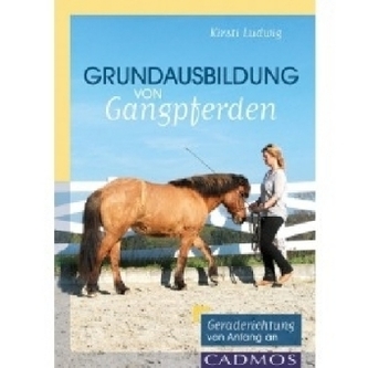 Grundausbildung von Gangpferden