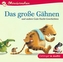 Das große Gähnen und andere Gute-Nacht-Geschichten, 1 Audio-CD