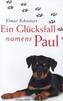 Ein Glücksfall namens Paul