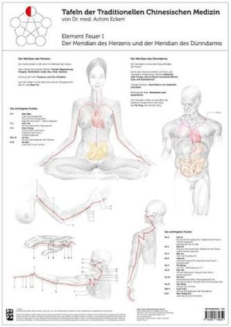 Tao Training Meridiantafel Feuer 1 Element