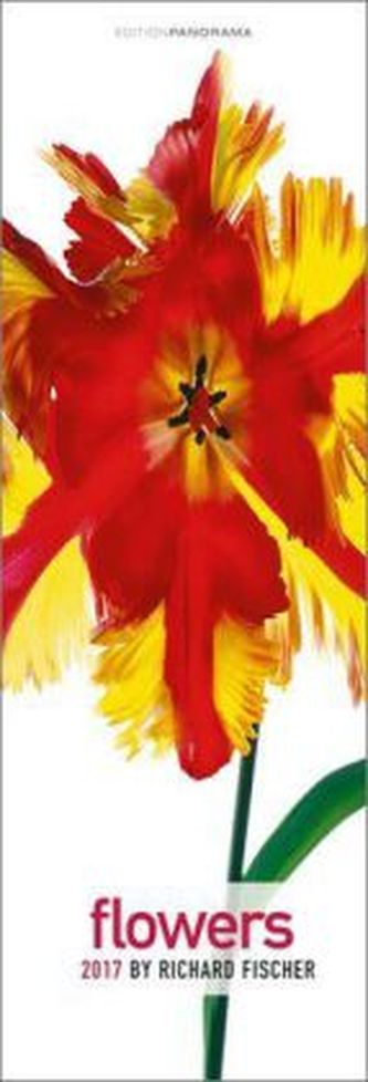 Flowers 2017