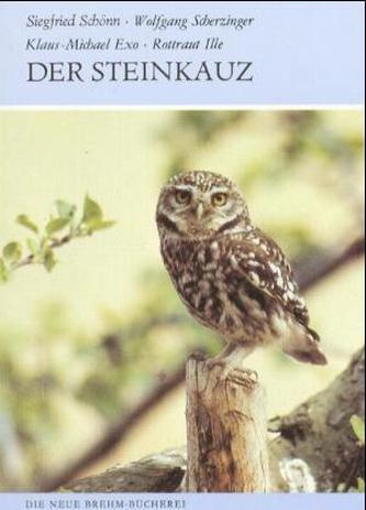 Der Steinkauz