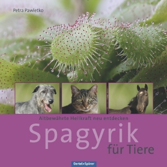 Spagyrik für Tiere