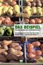 Das Beispiel