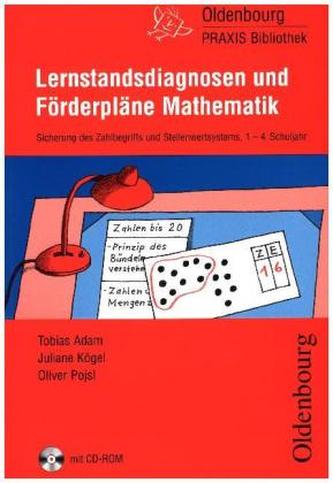 Lernstandsdiagnosen und Förderpläne Mathematik, m. CD-ROM