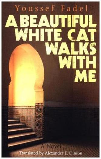 A Beautiful White Cat Walks with Me