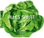 Alles Salat