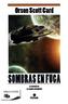 Sombras en fuga