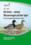 Die Ente - einem Wasservogel auf der Spur, 1 CD-ROM