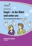 Engel - in der Bibel und unter uns, 1 CD-ROM