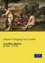 Goethes Briefe