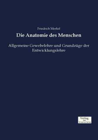 Die Anatomie des Menschen