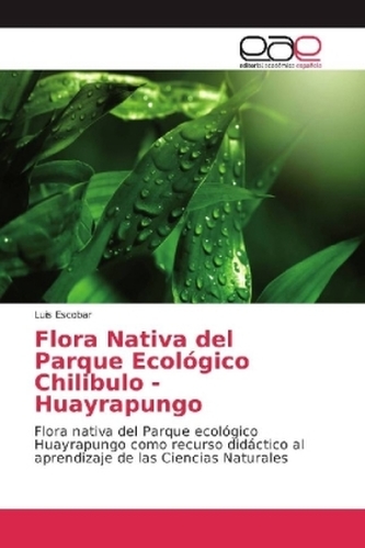 Flora Nativa del Parque Ecológico Chilibulo - Huayrapungo