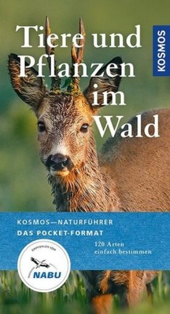 Tiere und Pflanzen im Wald