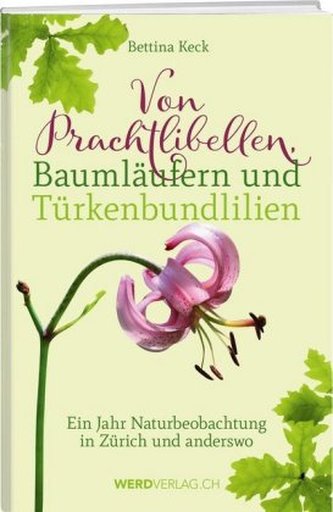 Von Prachtlibellen, Baumläufern und Türkenbundlilien Von Prachtlibellen, Baumläufern und Türkenbundlilien