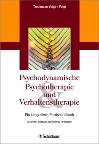 Psychodynamische Psychotherapie und Verhaltenstherapie
