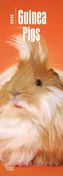 Guinea Pigs 2018