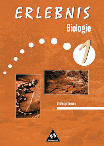 Blütenpflanzen und Kleinlebensräume