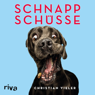 Schnappschüsse Schnappschüsse