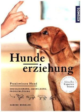 Hundeerziehung