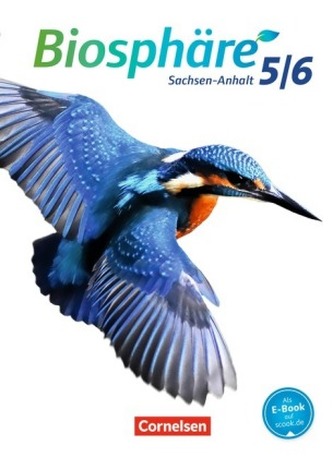 5./6. Schuljahr, Schülerbuch
