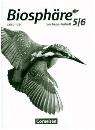 5./6. Schuljahr, Lösungen zum Schülerbuch
