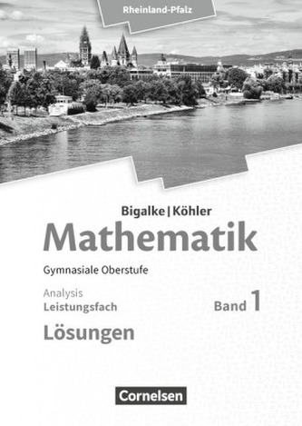 Leistungsfach Analysis, Lösungen