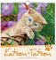 Katzen-Tatzen 2017