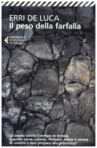 Il peso della farfalla