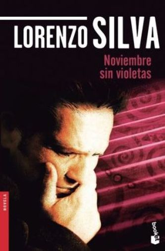 Noviembre Sin Violetas