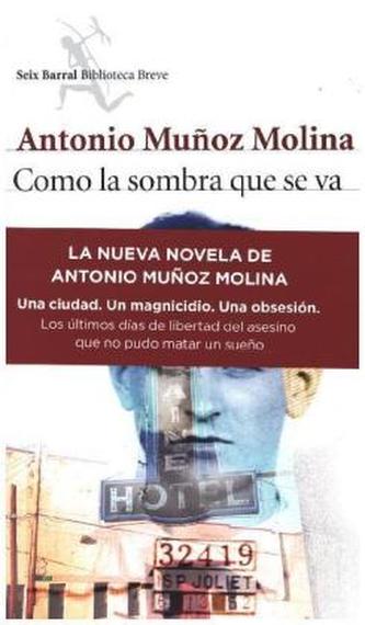 Como la sombra que se va