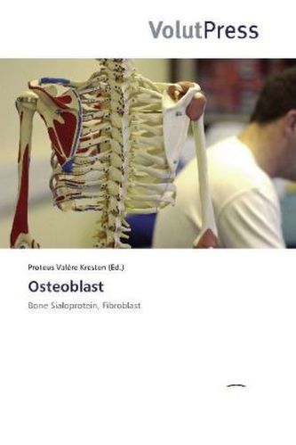 Osteoblast