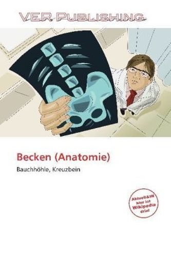 Becken (Anatomie)