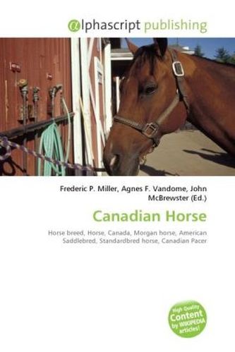 Canadian Horse