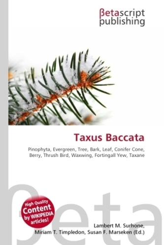 Taxus Baccata
