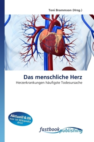 Das menschliche Herz
