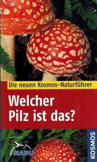 Welcher Pilz ist das?