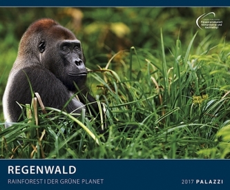 Regenwald