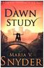 Study Series - Dawn Study