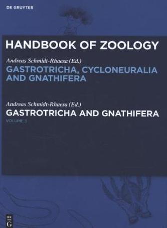 Gastrotricha and Gnathifera